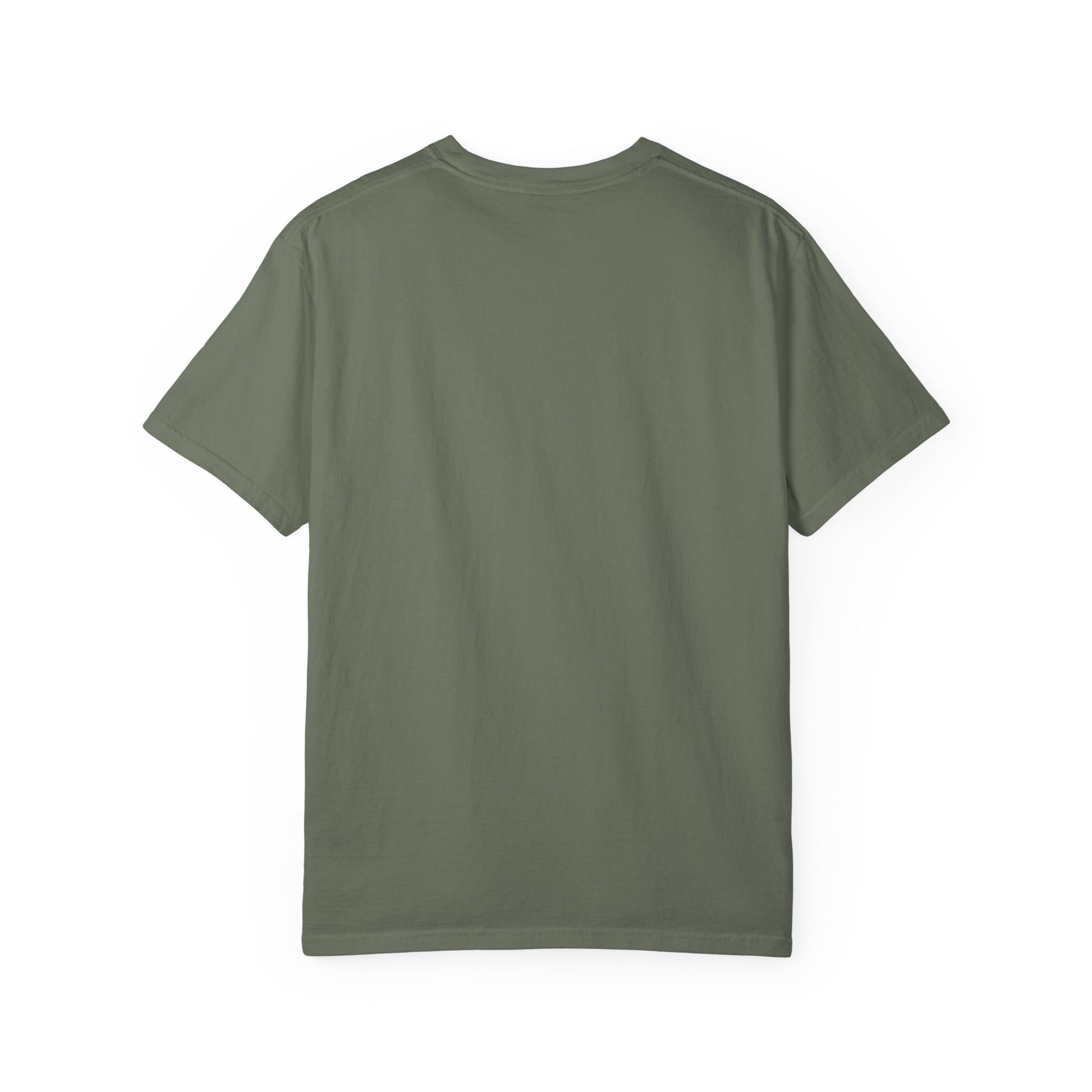 T-Shirt, Anne of Green Gables Quote Comfort Colors T-shirt, Gilbert Blythe, Book Lover Gift, Literary Tee, Unisex Top, Slate Quote Shirt, Bookish T
