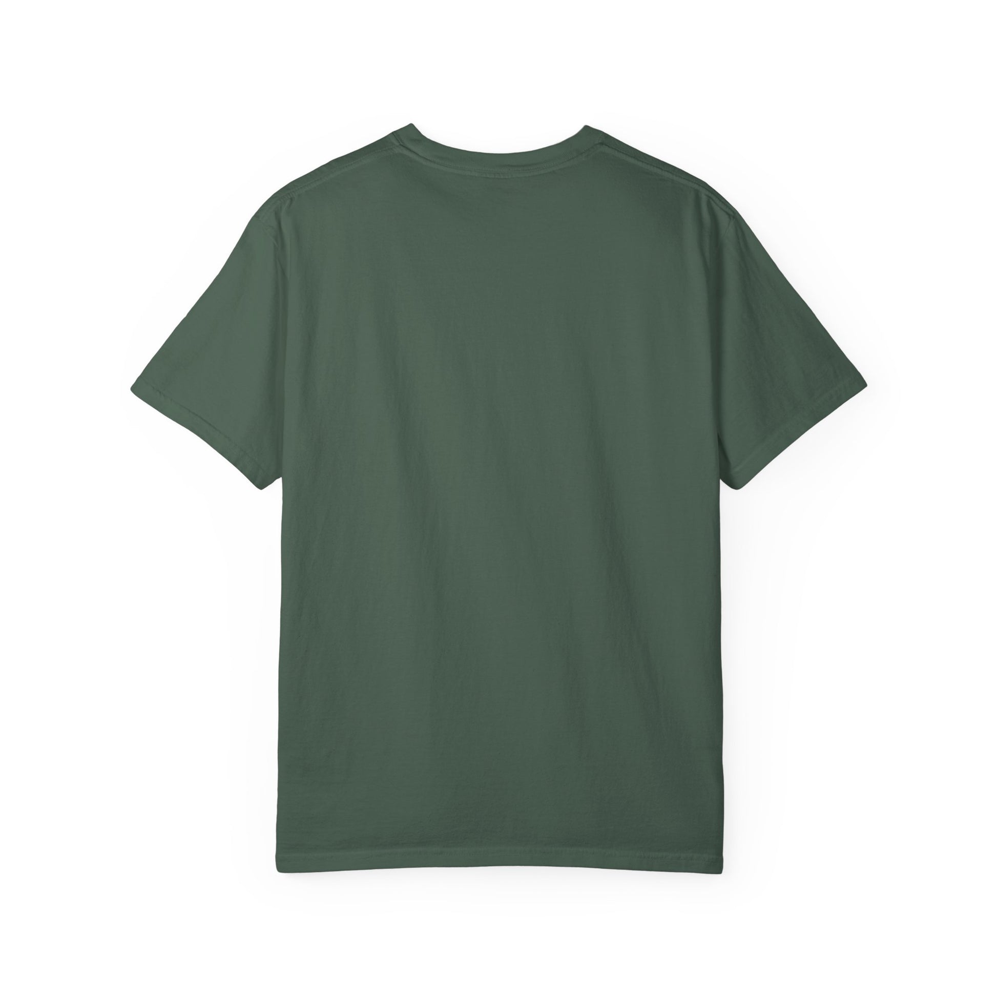 T-Shirt, Anne of Green Gables Quote Comfort Colors T-shirt, Gilbert Blythe, Book Lover Gift, Literary Tee, Unisex Top, Slate Quote Shirt, Bookish T